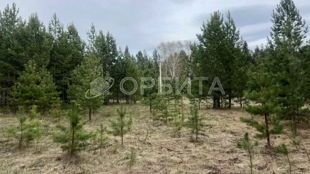 Участок в Свердловская область, Тугулым пгт ул. Хвойная, 26 (13.17 ... - Фото 0