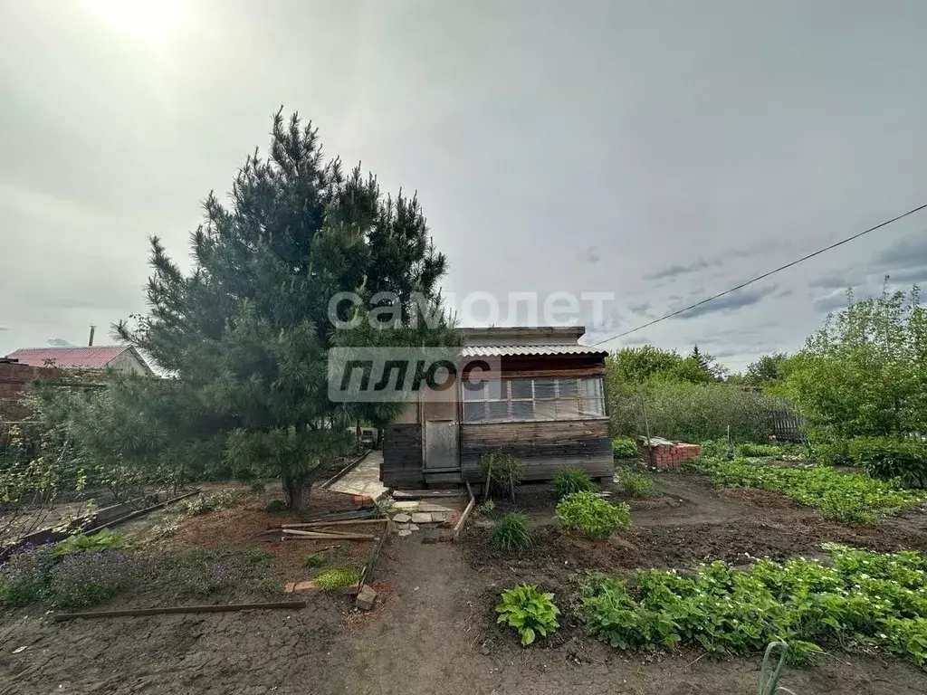 Дом в Омская область, Омский район, Дружинское с/пос, Яблонька СНТ ... - Фото 0