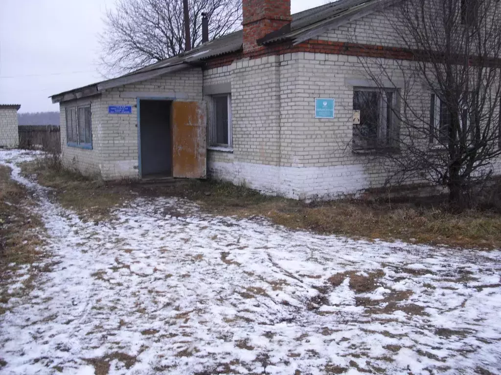 Офис в Пензенская область, Городищенский район, с. Вышелей Молодежная ... - Фото 1