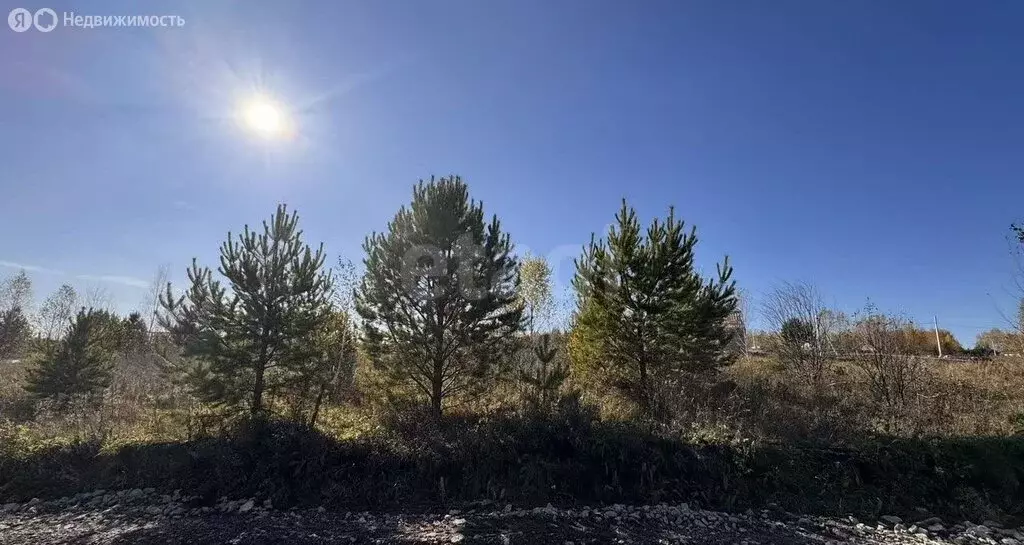 Участок в Томский район, деревня Новомихайловка, ДНП Кедры, Зимний ... - Фото 2