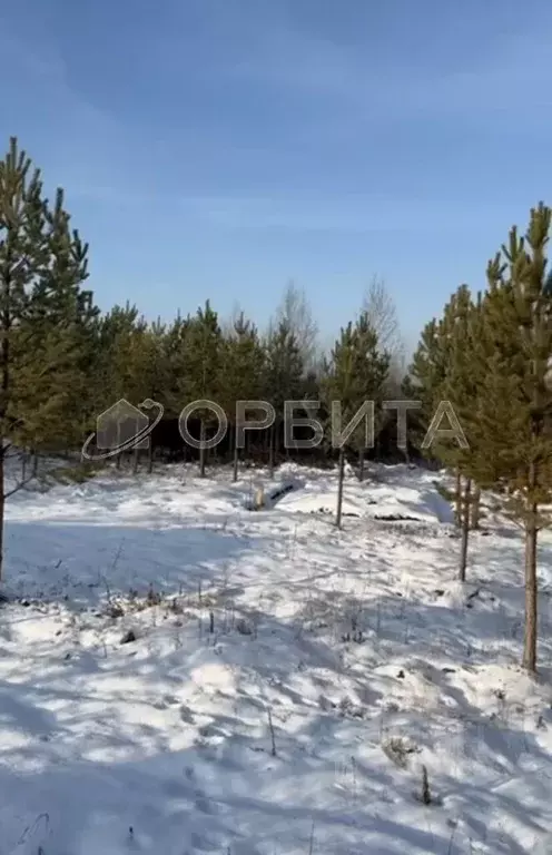 Участок в Тюменская область, Нижнетавдинский район, д. Московка  (6.0 ... - Фото 0