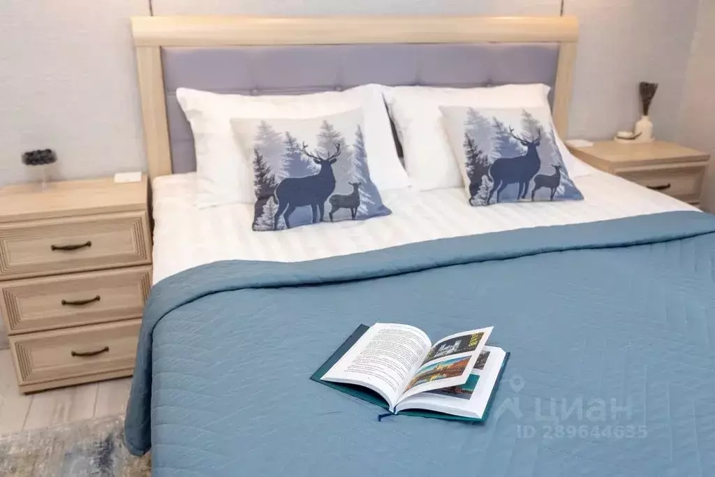 1-к кв. Карелия, Петрозаводск проезд Дивизионный, 17 (38.0 м) - Фото 2