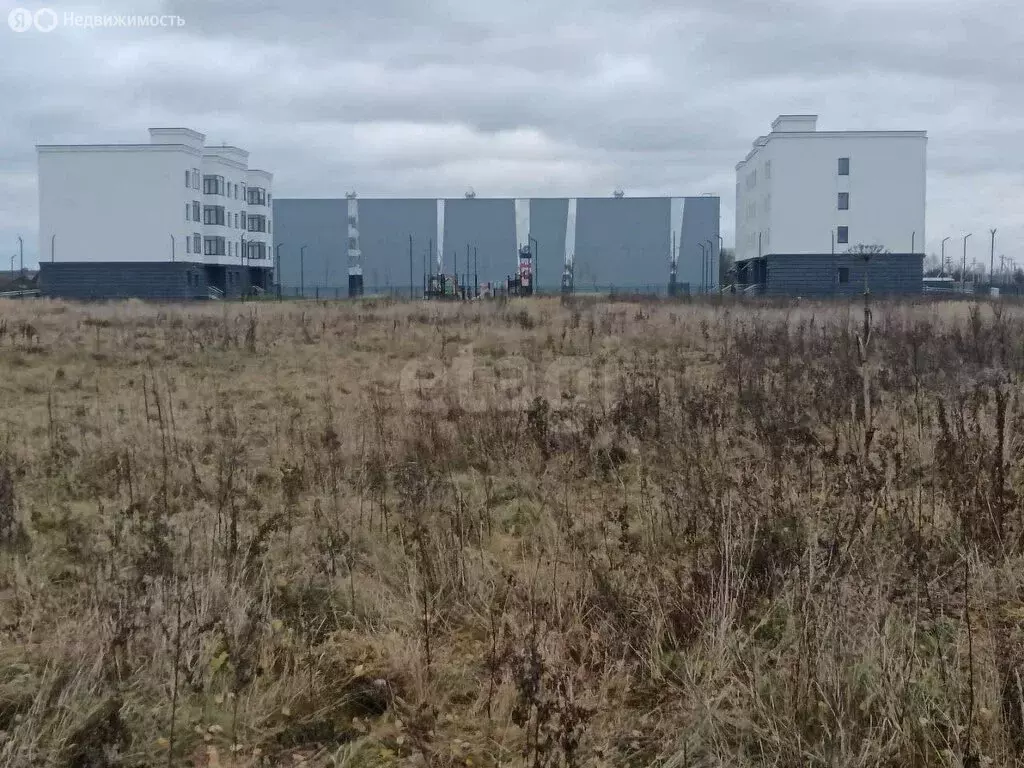 Участок в Тверская область, Калининский муниципальный округ, село ... - Фото 2