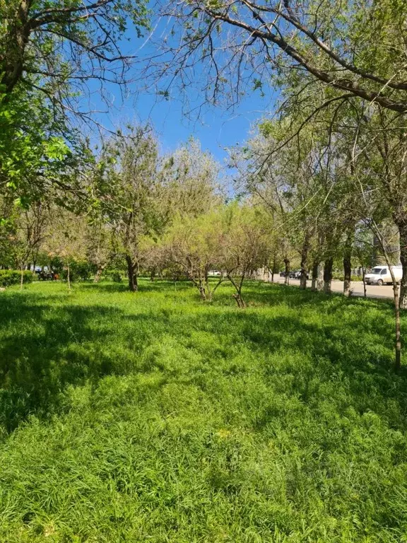 2-к кв. Волгоградская область, Волгоград ул. Фадеева, 61 (41.4 м) - Фото 1