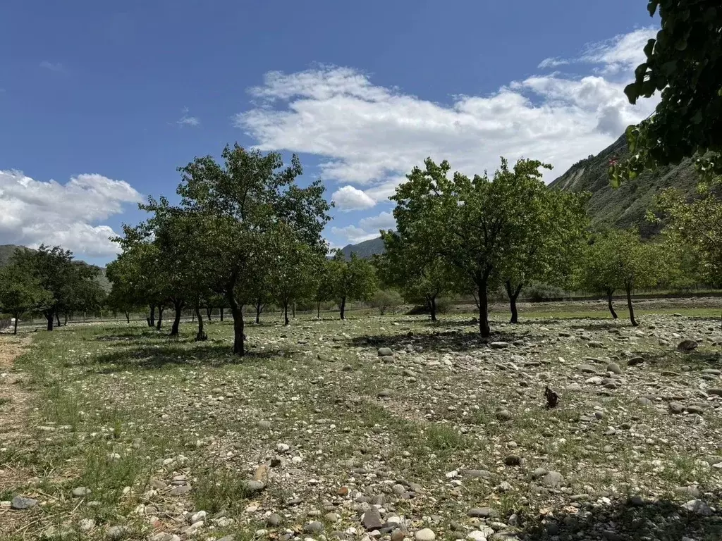 Участок в Дагестан, Гергебильский район, Кикунинский сельсовет  (20.0 ... - Фото 2