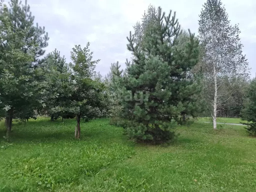 Участок в деревня Пугачи, Набережная улица (11.9 м) - Фото 1