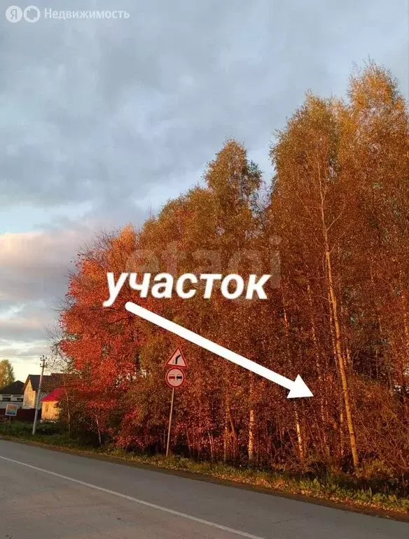 Участок в Пермский край, Краснокамский муниципальный округ, деревня ... - Фото 2