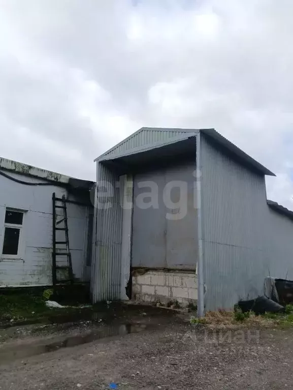 Торговая площадь в Владимирская область, Петушки ул. Нижегородская, 11 ... - Фото 2