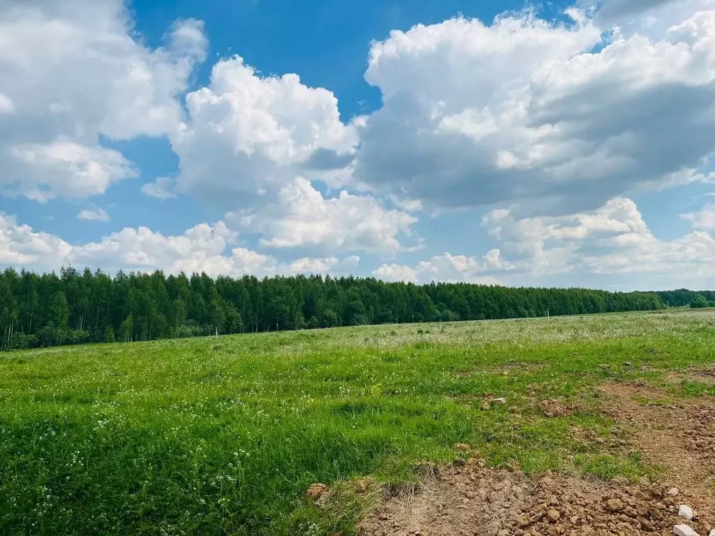 Участок в Московская область, Раменский городской округ, Оттепель кп ... - Фото 1