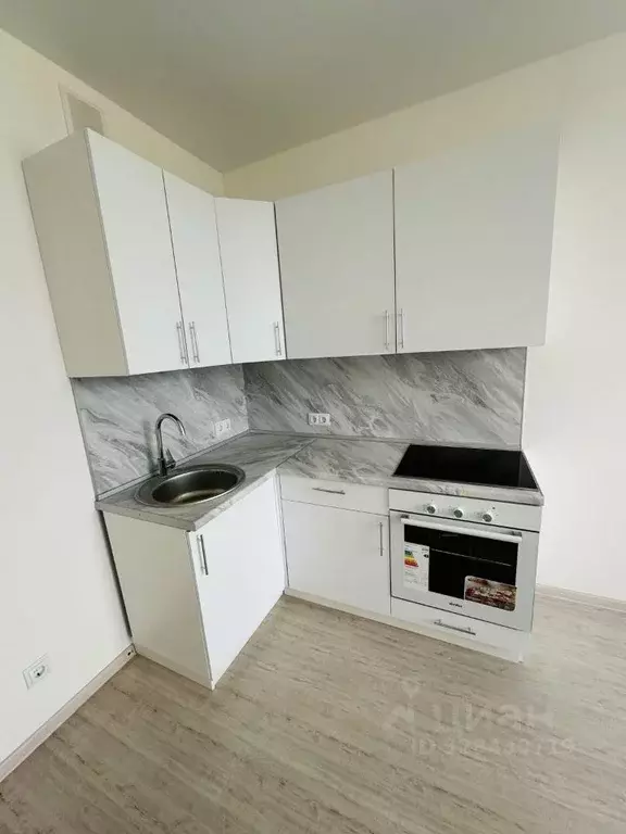 1-к кв. Нижегородская область, Нижний Новгород д. Анкудиновка, ул. ... - Фото 2