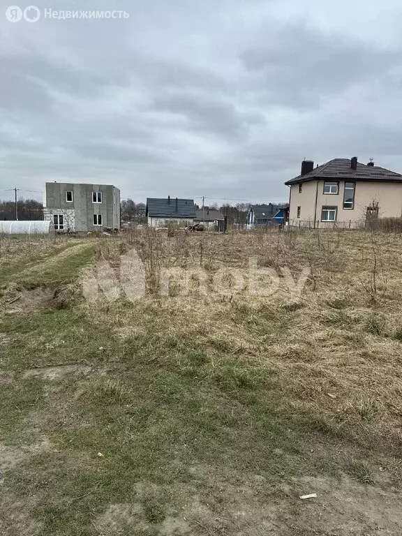 Участок в Калининградская область, Гурьевский муниципальный округ, ... - Фото 2