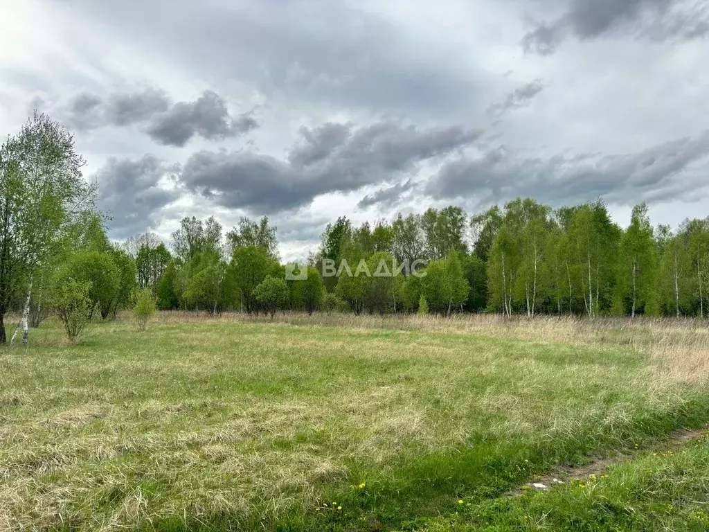 Участок в Тульская область, Тула городской округ, с. Алешня ул. ... - Фото 0