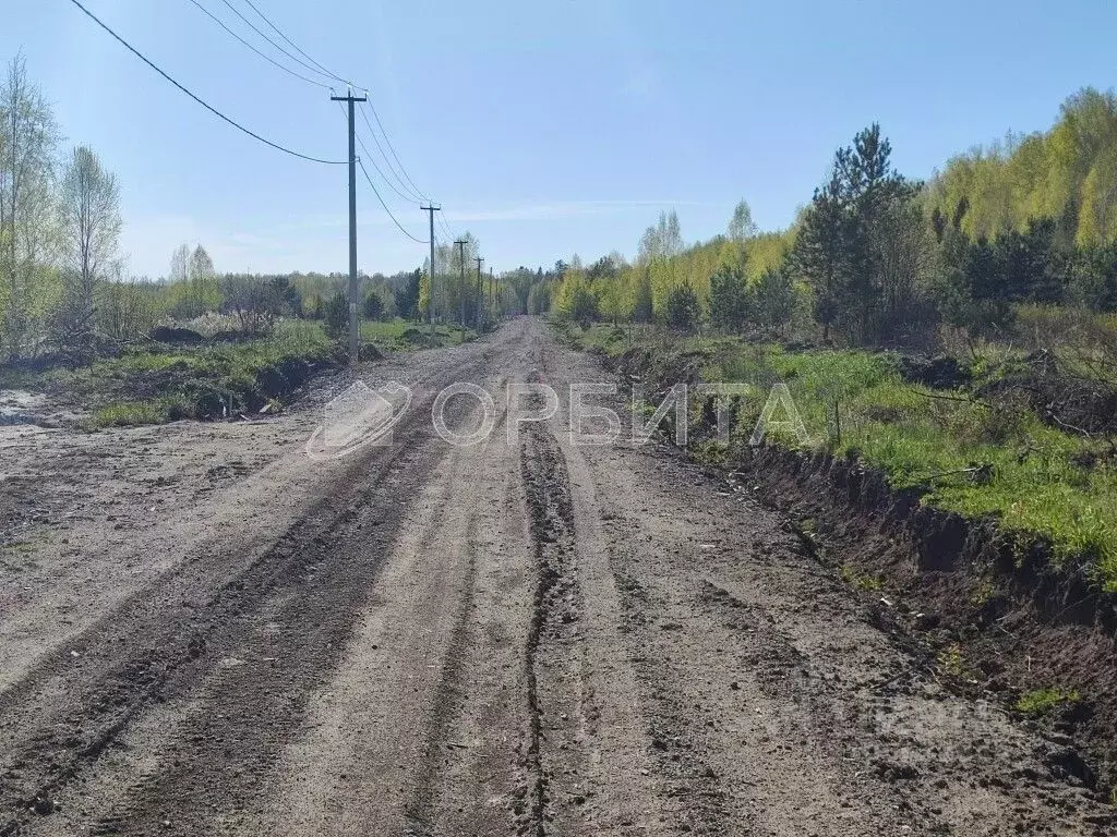 Участок в Тюменская область, Нижнетавдинский район, с. Тюнево  (7.0 ... - Фото 2