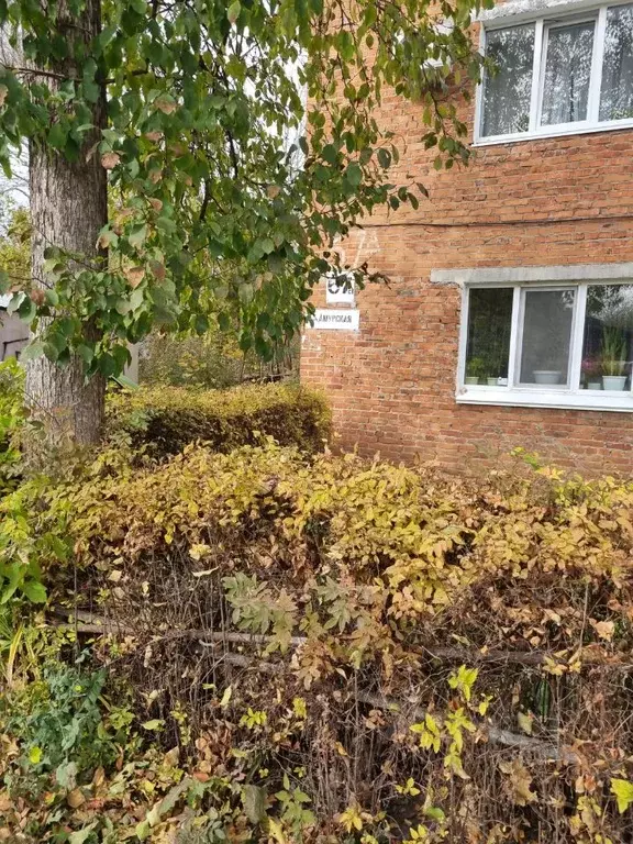 1-к кв. Удмуртия, Сарапул Амурская ул., 67А (28.2 м) - Фото 2