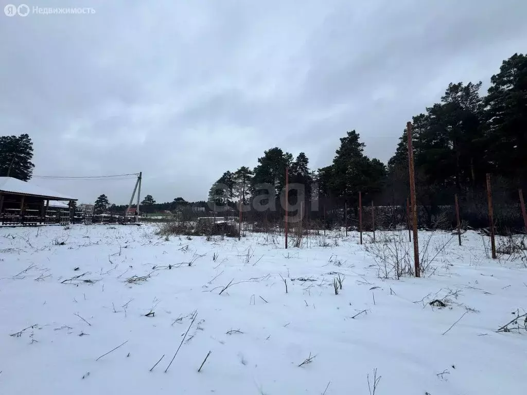 Участок в Искитимский район, село Тальменка (12 м) - Фото 2