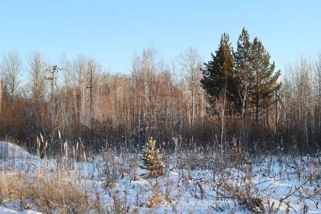 Участок в Тюменская область, Тюменский район, Нива СНТ ул. Длинная, ... - Фото 0