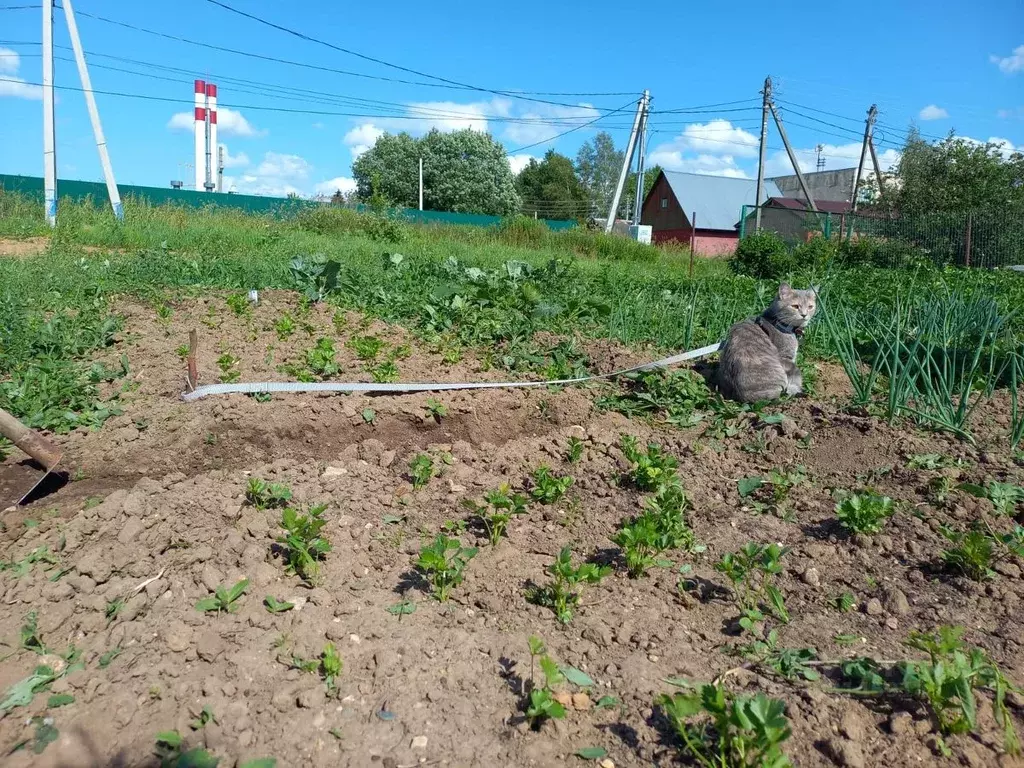 Участок в Московская область, Солнечногорск городской округ, д. ... - Фото 1