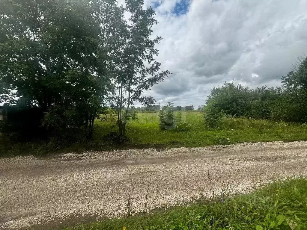 Участок в Воронежская область, Семилукское с/пос, Содружество СНТ ул. ... - Фото 1