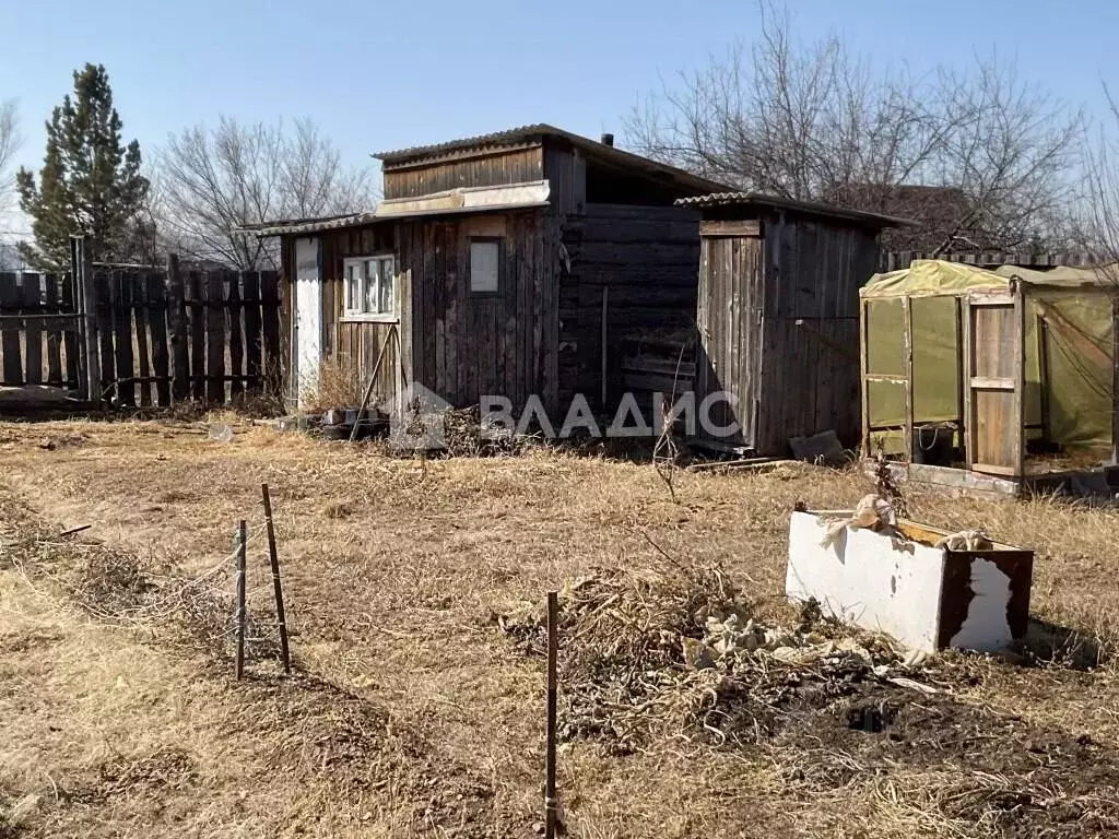 Дом в Забайкальский край, Читинский район, Колос садоводческое ... - Фото 1