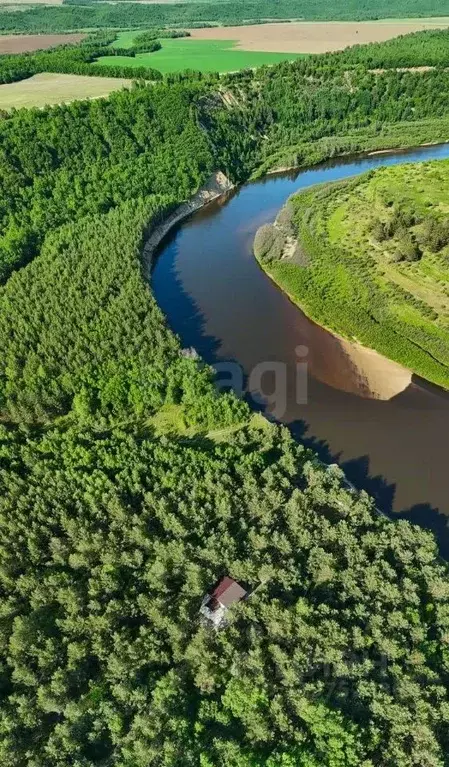 Участок в Амурская область, Серышевский муниципальный округ, с. ... - Фото 2