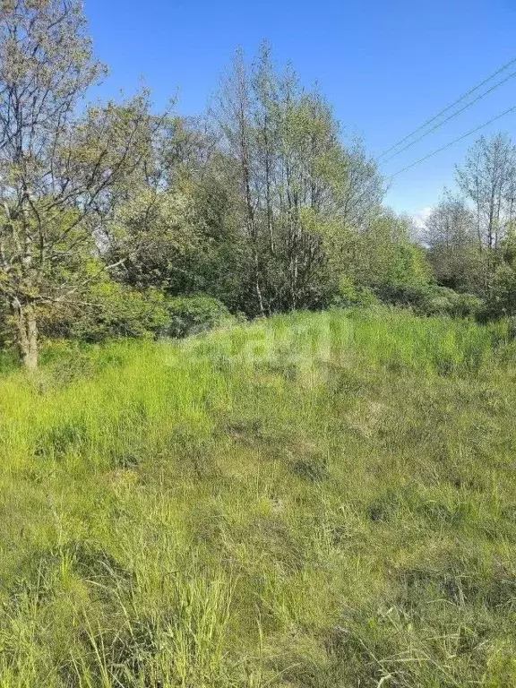 Участок в Калининградская область, Ладушкин  (7.51 сот.) - Фото 1