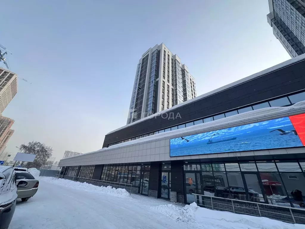 Помещение свободного назначения в Новосибирская область, Новосибирск ... - Фото 1