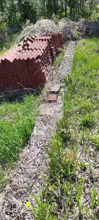 Участок в Новосибирская область, Новосибирский район, Криводановский ... - Фото 2