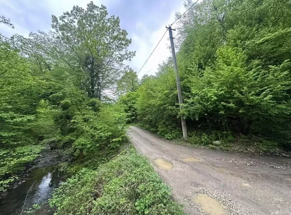 Участок в Краснодарский край, Геленджик городской округ, с. ... - Фото 0