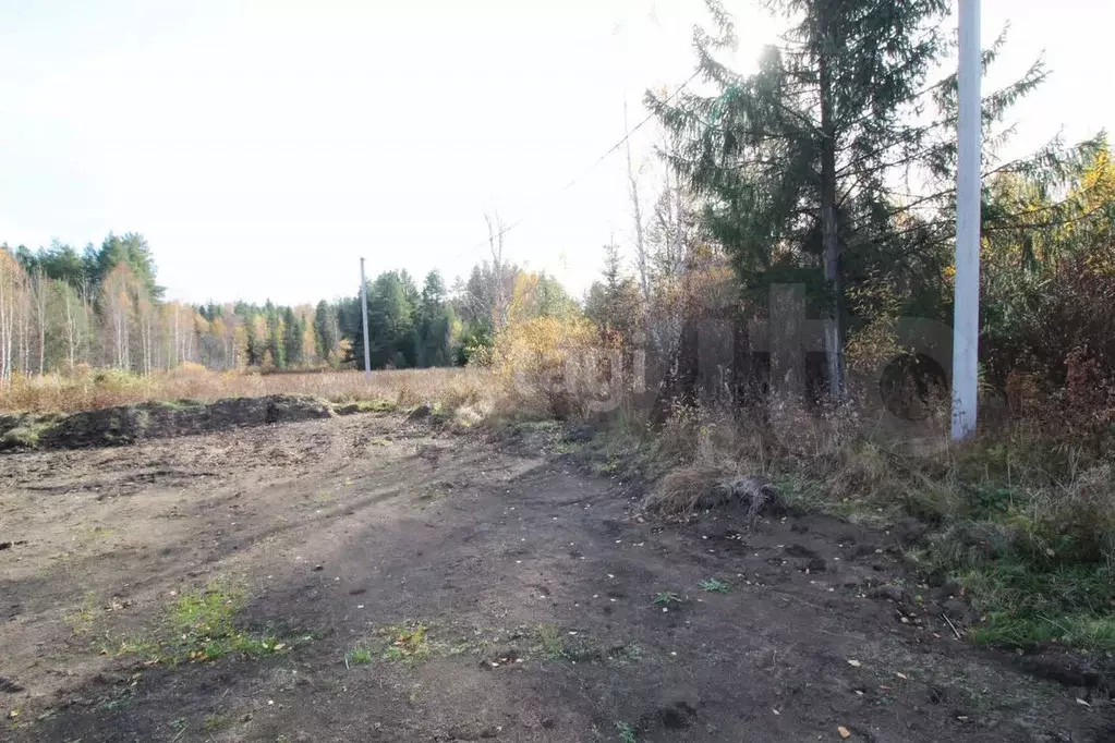 Участок 12 сот. (ИЖС) - Фото 1