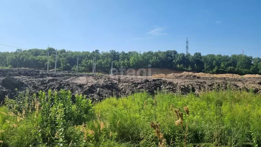 Участок в Амурская область, Благовещенский район, с. Чигири ул. Мира ... - Фото 0