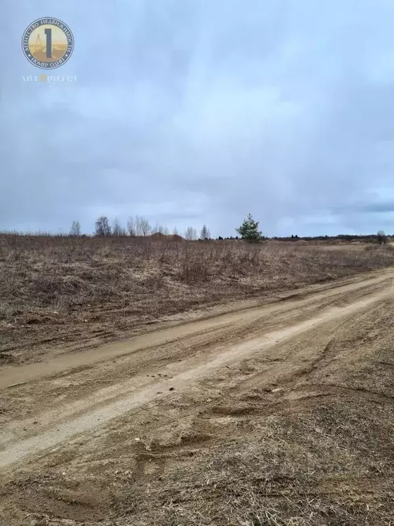 Участок в Вологодская область, Череповецкий район, Воскресенское ... - Фото 1