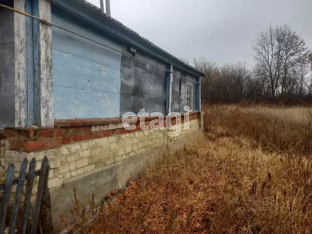 Дом в Белгородская область, Корочанский район, Новослободское с/пос, ... - Фото 1