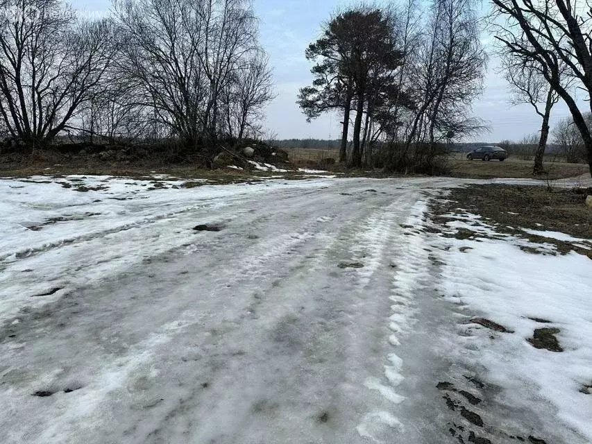 Участок в Волосовский район, Большеврудское сельское поселение, ... - Фото 0