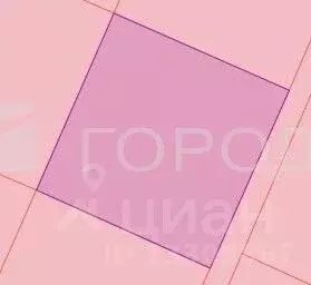 Участок в Кемеровская область, Новокузнецкий муниципальный округ, с. ... - Фото 1