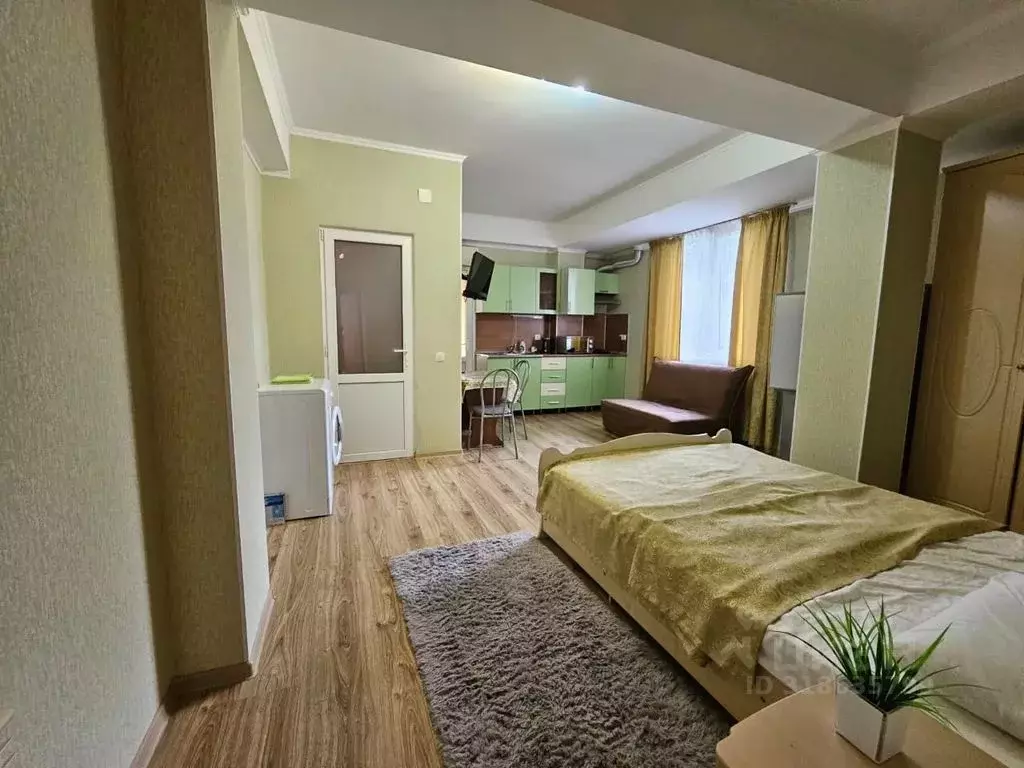 1-к кв. Краснодарский край, Сочи ул. Ленина, 42А (32.0 м) - Фото 0