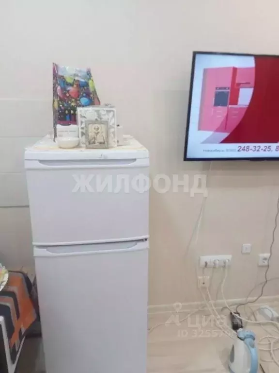 Студия Новосибирская область, Новосибирский район, Каменский ... - Фото 2