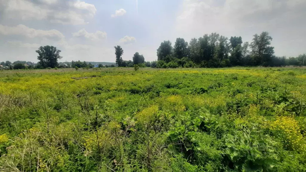 Участок в Кемеровская область, Кемеровский район, с. Елыкаево ... - Фото 1
