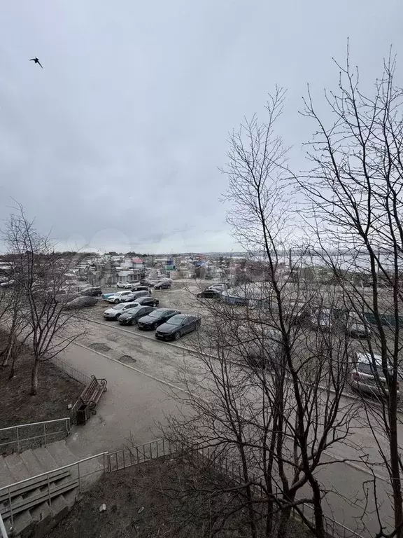 2-к. квартира, 50,5 м, 2/9 эт. - Фото 1