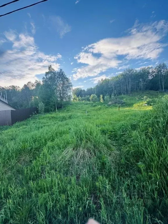 Участок в Мурманская область, Кольский муниципальный округ, ... - Фото 2