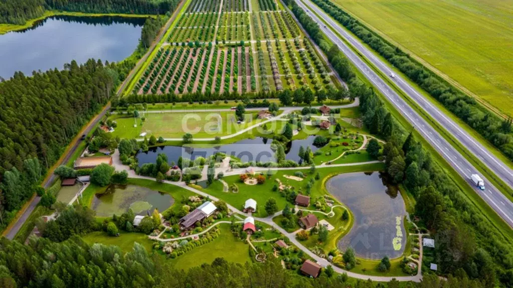 Участок в Тверская область, Вышневолоцкий муниципальный округ, с. ... - Фото 2