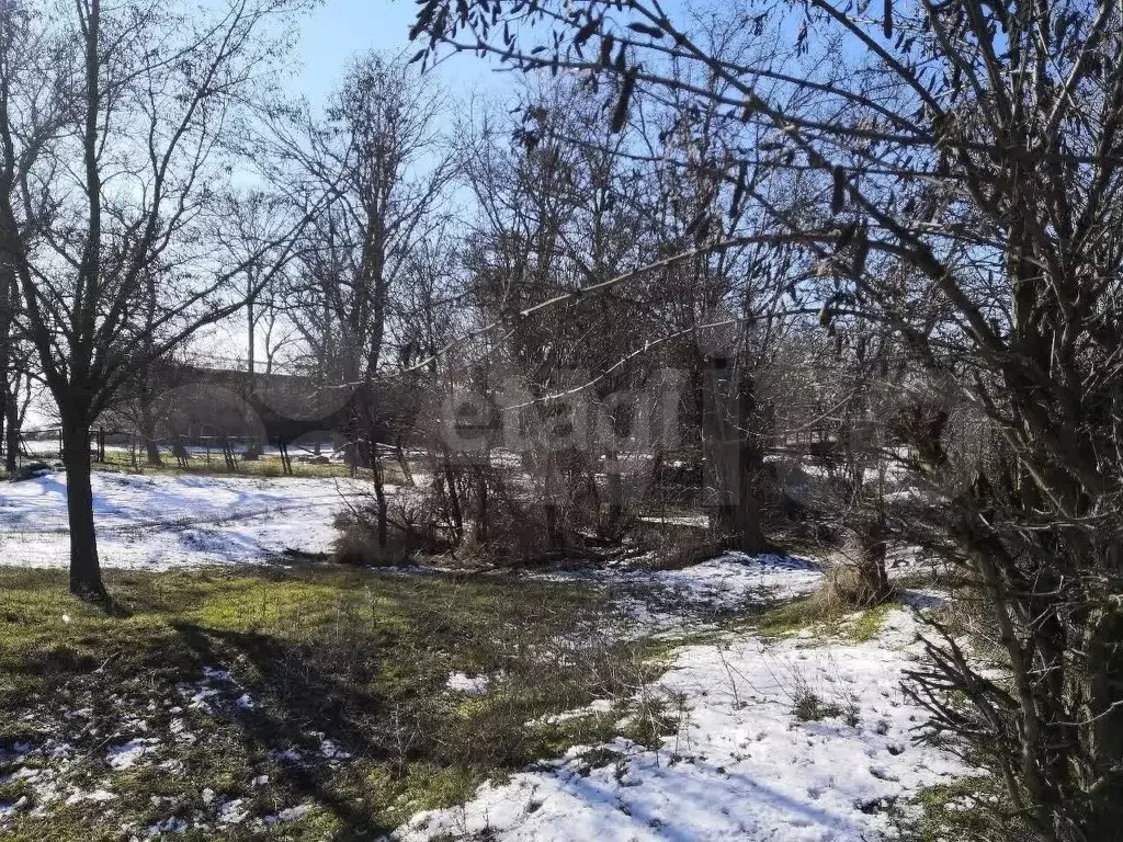 Участок 39,4 сот. (личное подсобное хозяйство (лпх)) - Фото 1