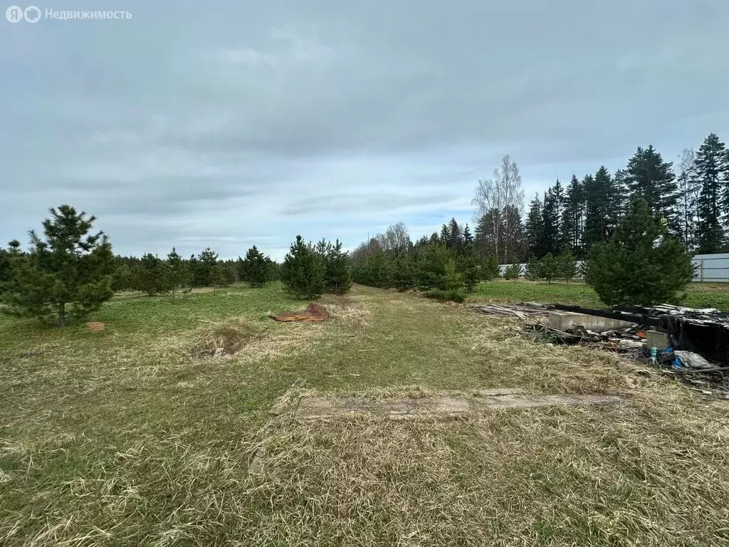 Участок в Солнечногорск, Кедровая улица (167 м) - Фото 2