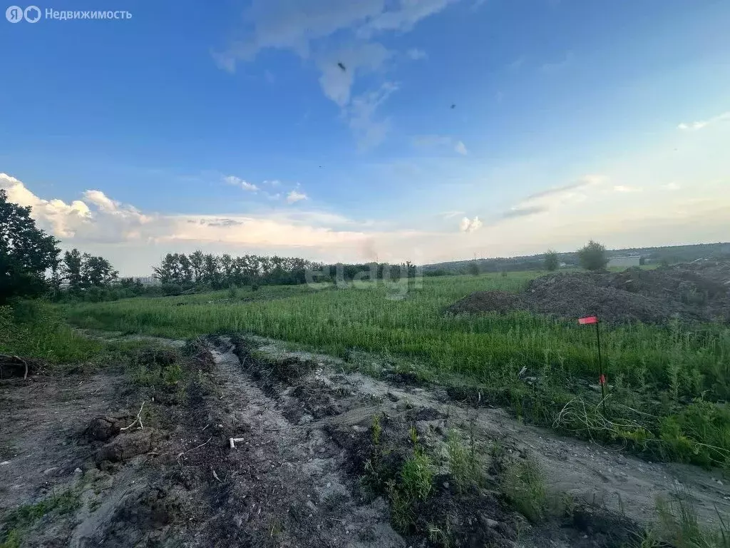 Участок в Амурская область, городской округ Благовещенск, посёлок ... - Фото 1