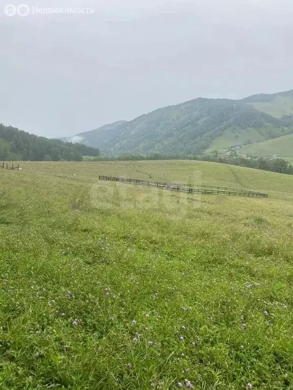 Участок в село Бирюля, Таркольская улица (13 м) - Фото 2