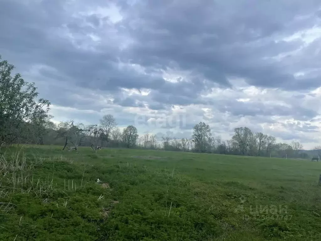 Участок в Адыгея, Майкопский район, Тимирязевское с/пос, Шунтук хут. ... - Фото 1