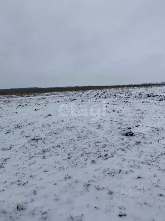 Участок в Белгородская область, Белгородский район, Головинское с/пос, ... - Фото 0