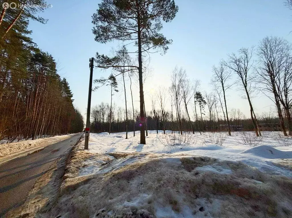 Участок в Чехов, Дорожная улица (6.6 м) - Фото 2