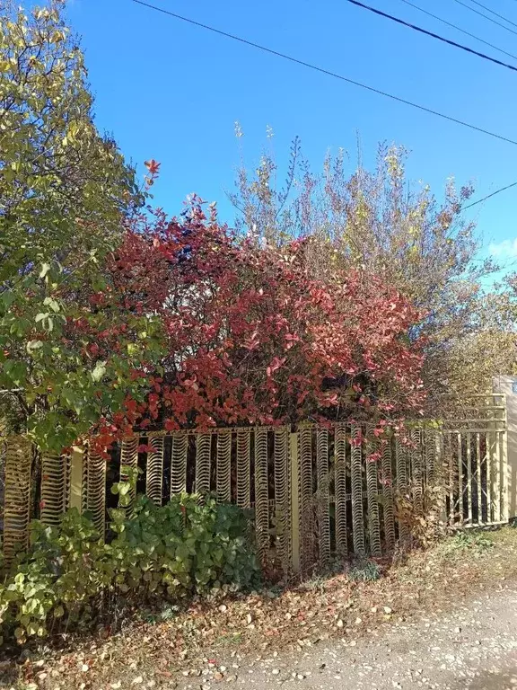Дом в Самарская область, Ставропольский район, Тимофеевка с/пос, ... - Фото 2