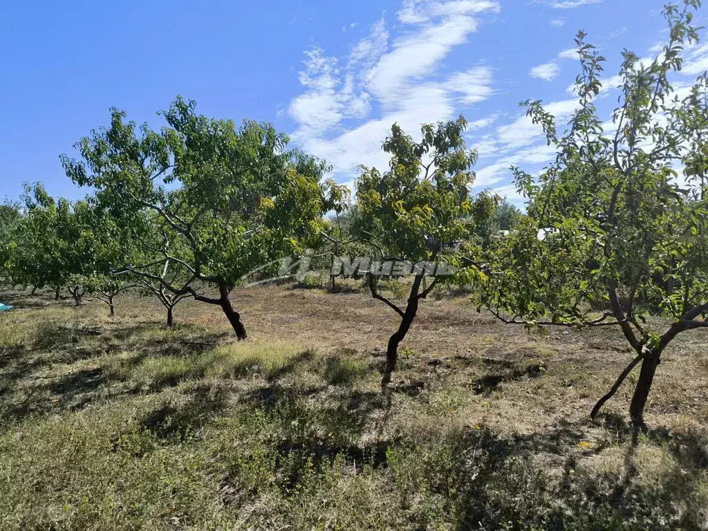 Участок в Крым, Симферопольский район, Трудовское с/пос, с. Ивановка ... - Фото 1