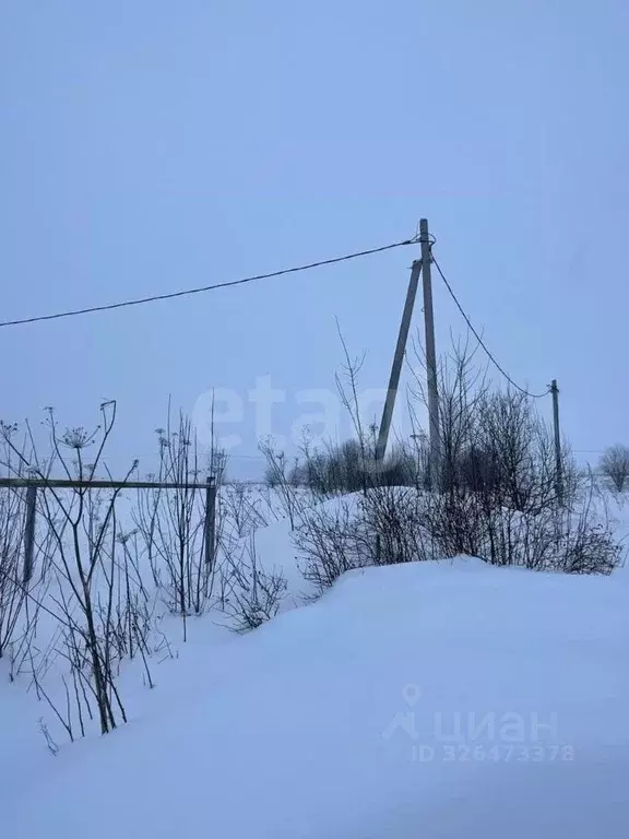 Участок в Пермский край, Пермский муниципальный округ, д. Шугуровка, ... - Фото 1